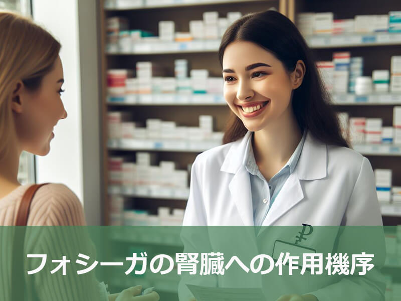 フォシーガの腎臓への作用機序