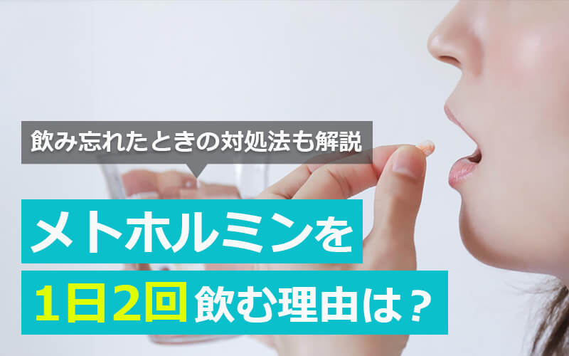 メトホルミンを1日2回飲む理由
