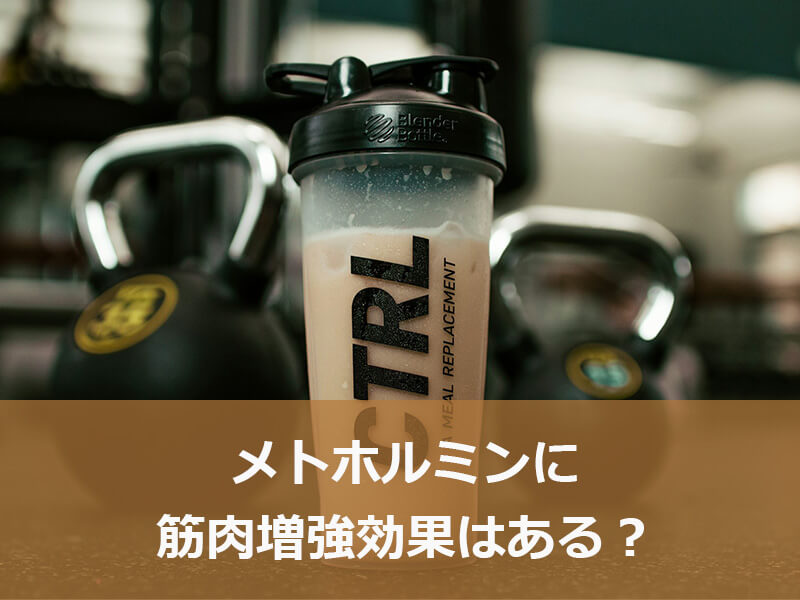 メトホルミンに筋肉増強効果はある?