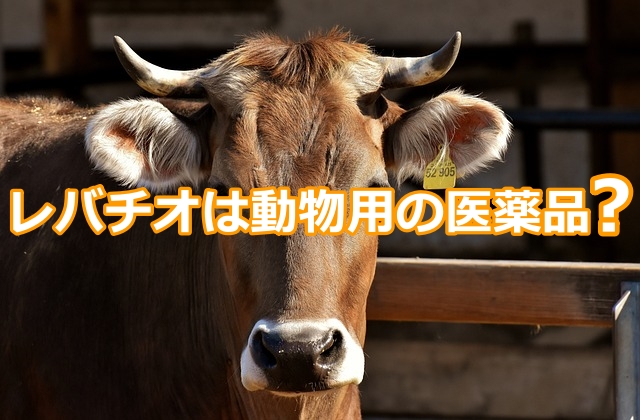 レバチオは動物用の医薬品?